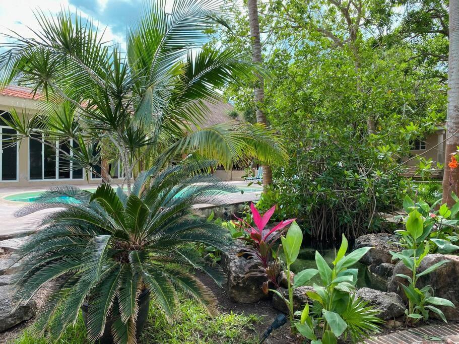Casa Paamul Villa Playa del Carmen Eksteriør billede